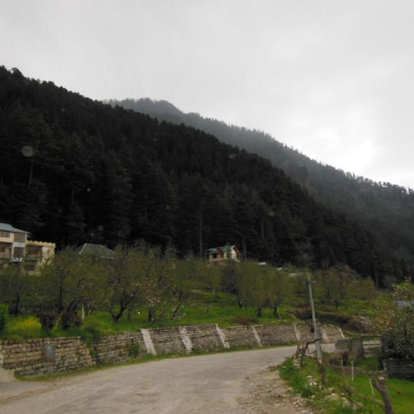 Premier Cottage No.5 - Rustic Cottage in Manali surrounded by Apple Trees