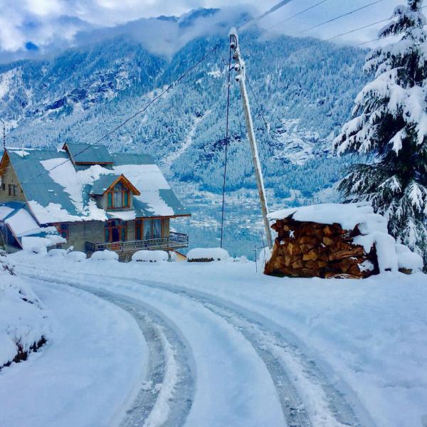 Premier Cottage No.6 - Book Two to Six Bedroom Hilltop Cottage near Mall Road in Manali